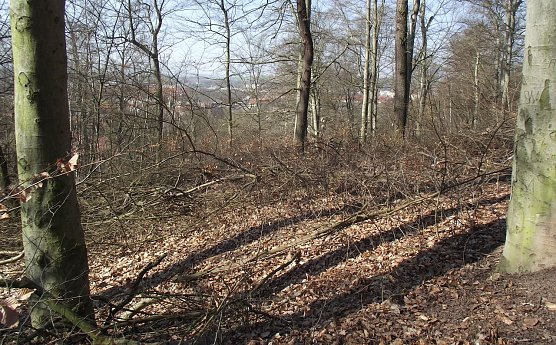 Es gibt viel zu tun (Foto: Kurt Frank)