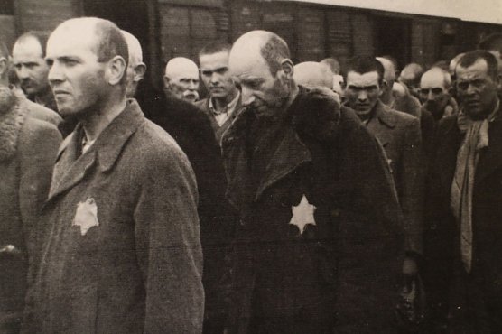 Ankunft in Auschwitz (Foto: Das Auschwitz Album) Ankunft in Auschwitz (Foto: Das Auschwitz Album)