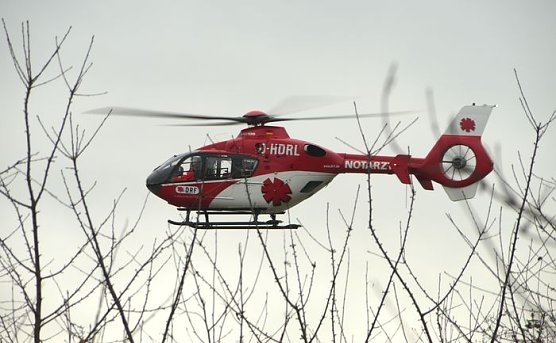 B&auml;ume m&uuml;ssen weg (Foto: nnz)