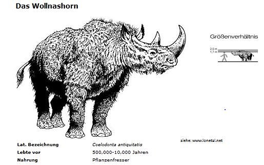 Grafik  (Foto: Sammlung Sch&auml;fer)