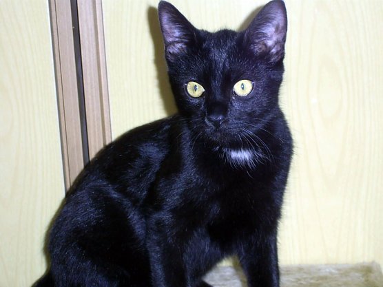 Sorgenkind 2: Elli (Foto: C. Knust) Sorgenkind 2: Elli (Foto: C. Knust)