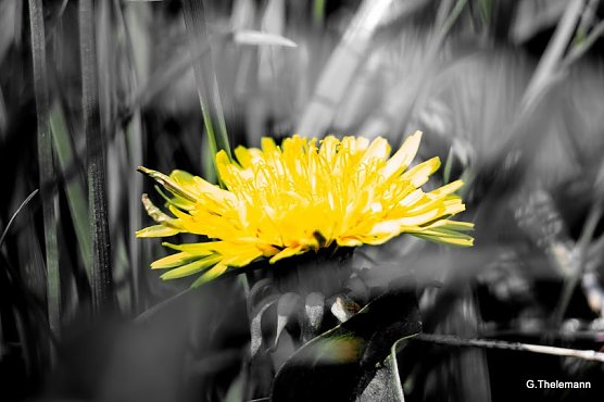 Wetter-Bild (Foto: Gernot Thelemann)