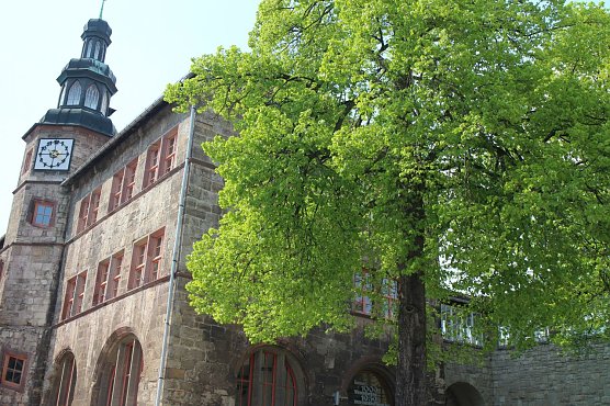 Mehr Gr&uuml;n f&uuml;r die Stadt (Foto: Angelo Glashagel)