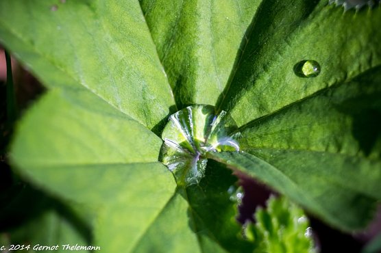 Wetter-Bild (Foto: Gernot Thelemann)
