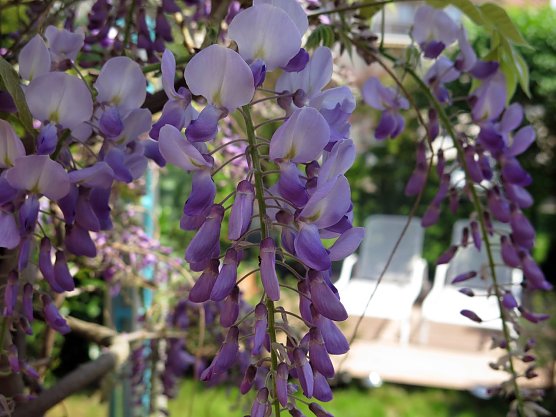 Wetter-Bild (Foto: nnz)