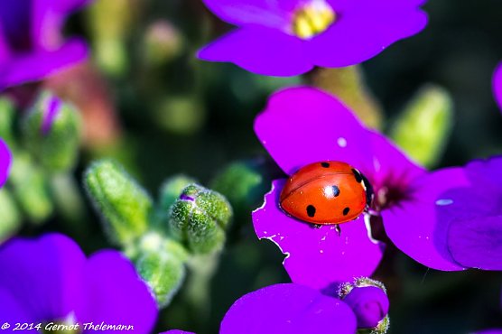 Wetterbild (Foto: Gernot Thelemann) Wetterbild (Foto: Gernot Thelemann)