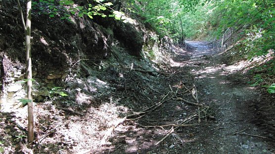 Stempedaer Marktweg (Foto: Bodo Schwarzberg)