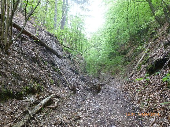 Stempedaer Marktweg (Foto: Bodo Schwarzberg)