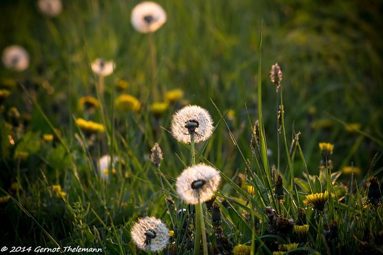 Wetter-Bild (Foto: Gernot Thelemann) Wetter-Bild (Foto: Gernot Thelemann)