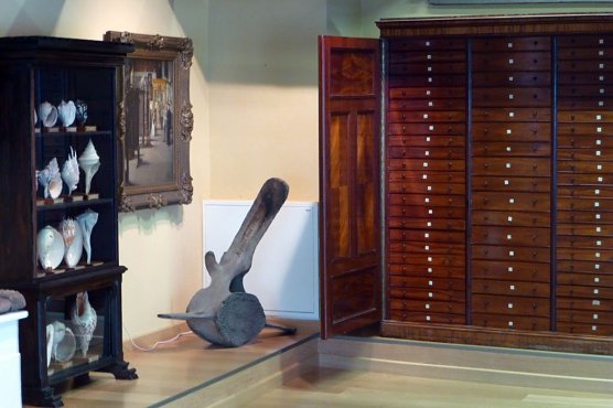 Blick auf den Schrank (Foto: Archiv Kneffel) Blick auf den Schrank (Foto: Archiv Kneffel)