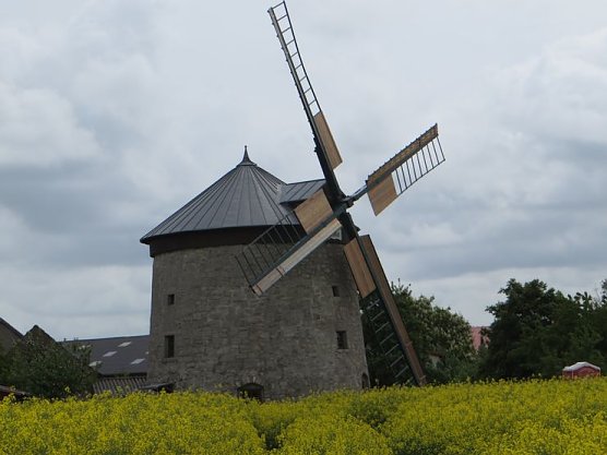 Deutscher M&uuml;hlentag 2014 (Foto: Hannelore Kutscha)