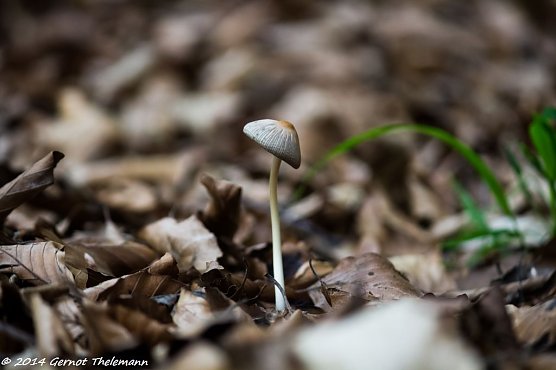 Wetterbild (Foto: Gernot Thelemann)