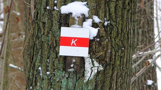 Wichtiger Wanderweg (Foto: Bodo Schwarzberg) Wichtiger Wanderweg (Foto: Bodo Schwarzberg)