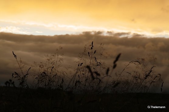 Wetter-Bild (Foto: Gernot Thelemann) Wetter-Bild (Foto: Gernot Thelemann)