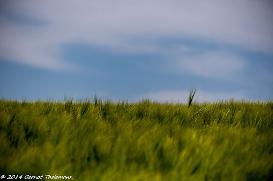 Wetterbild (Foto: Gernot Thelemann)