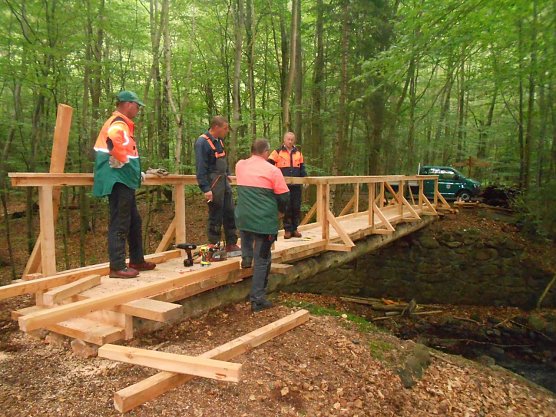 Die Nationalpark-Forstwirte des Reviers Ilsenburg bei Bau der von ihnen errichteten Br&uuml;cke, von links. Ralf Grahmann, Marzel Drube, Martin Baumbach und Klaus-Dieter Kahn (Foto: J&ouml;rg M&uuml;ller)