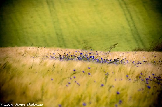Wetterbild (Foto: Gernot Thelemann) Wetterbild (Foto: Gernot Thelemann)