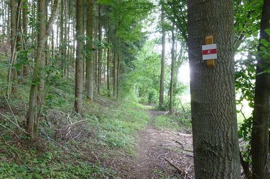 Beräumt (Foto: Bodo Schwarzberg) Beräumt (Foto: Bodo Schwarzberg)