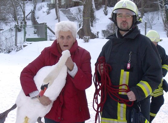 Rettungsaktion (Foto: Stadtverwaltung) Rettungsaktion (Foto: Stadtverwaltung)