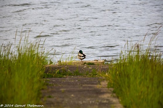 Wetterbild (Foto: Gernot Thelemann)