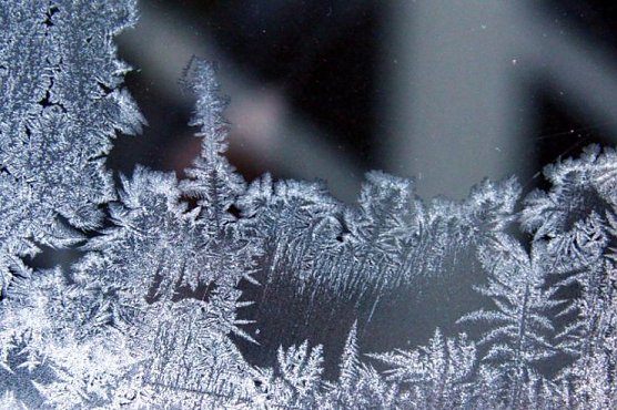 Fenster (Foto: nnz) Fenster (Foto: nnz)