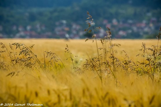 Wetterbild (Foto: Gernot Thelemann)