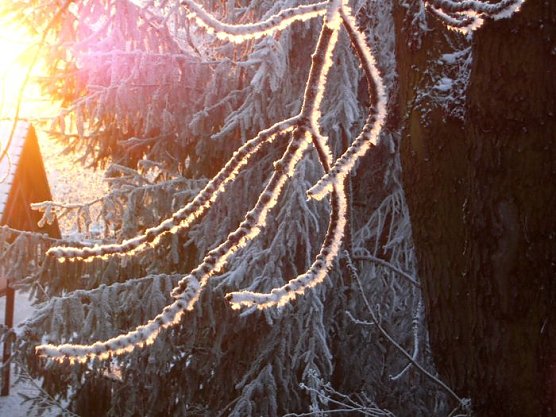 Winter bei LIFT (Foto: Bergmann)