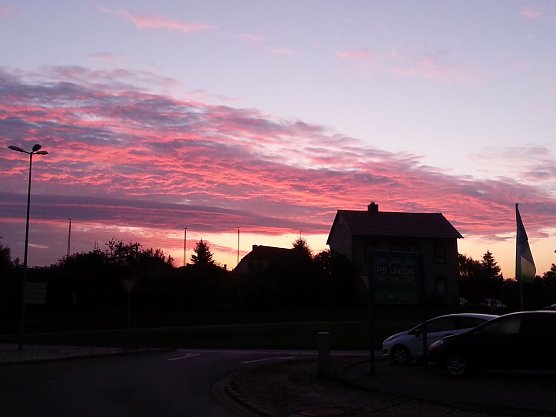 Aufgegangen (Foto: Daniel Aderhold)