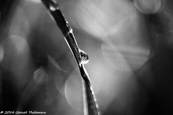 Wetter-Bild (Foto: Gernot Thelemann) Wetter-Bild (Foto: Gernot Thelemann)