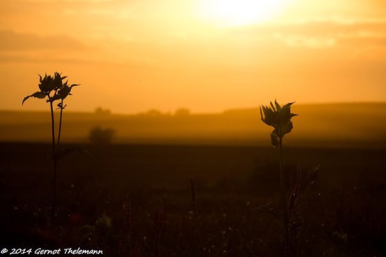 Wetterbild (Foto: Gernot Thelemann) Wetterbild (Foto: Gernot Thelemann)