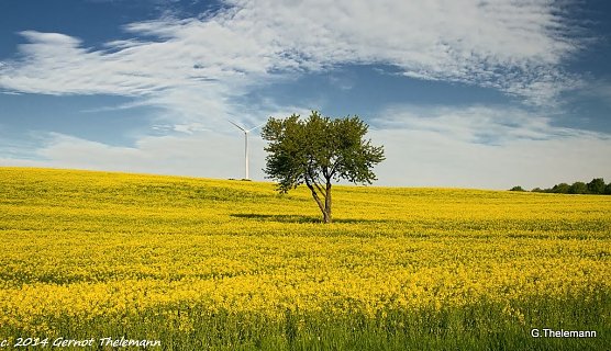 Wetter-Bild (Foto: Gernot Thelemann)