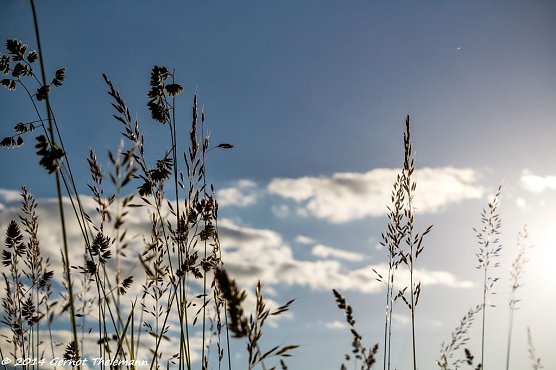 Wetterbild (Foto: Gernot Thelemann) Wetterbild (Foto: Gernot Thelemann)