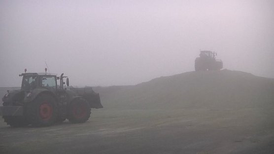 Die H&auml;lfte des Lagers ist bereits gef&uuml;llt (Foto: Angelo Glashagel)