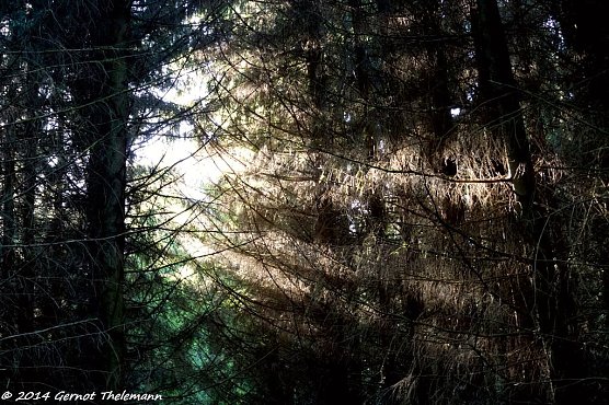 Wetterbild (Foto: Gernot Thelemann)
