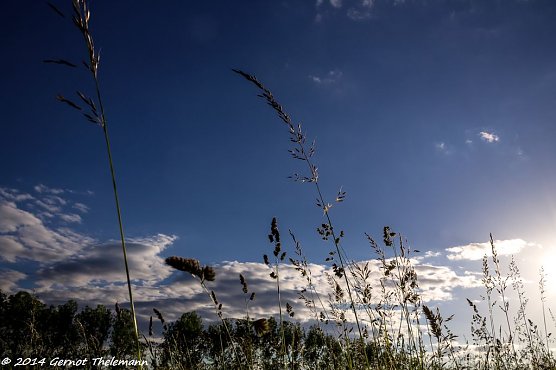 Wetter-Bild (Foto: ger)