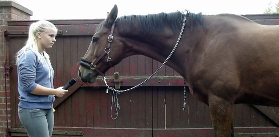 Interview mit einem Pferd (Foto: OKN/S. Witzel) Interview mit einem Pferd (Foto: OKN/S. Witzel)