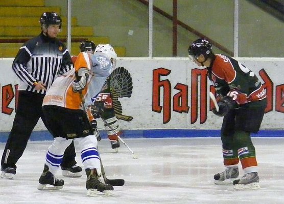Wölfe an der Ostsee (Foto: Koch) Wölfe an der Ostsee (Foto: Koch)