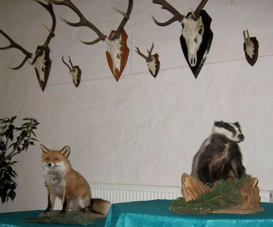 Neue Ausstellung (Foto: Hoffmann)