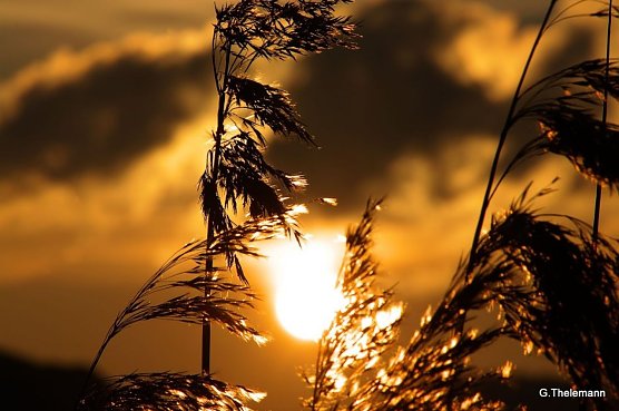 Wetterbild (Foto: Gernot Thelemann) Wetterbild (Foto: Gernot Thelemann)