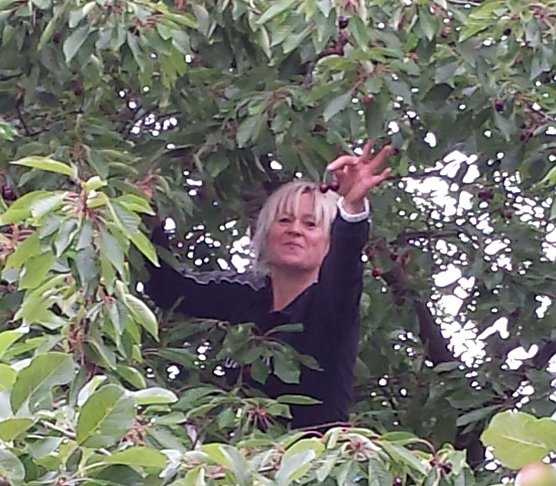 flei&szlig;ige Eltern halfen bei der Ernte (Foto: Karin Sommer)