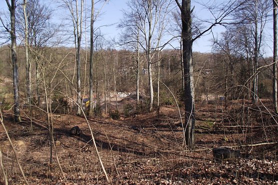 Das Gehege im Fr&uuml;hjahr 2013 (Foto: nnz)