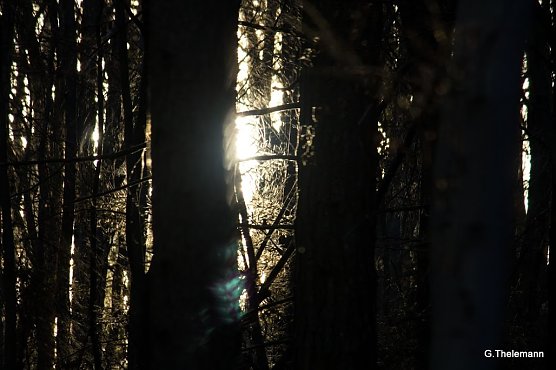 Wetter-Bild (Foto: Gernot Thelemann) Wetter-Bild (Foto: Gernot Thelemann)