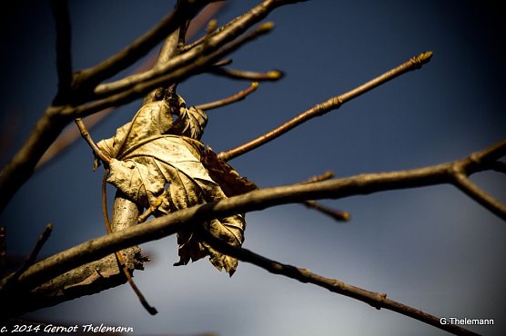 Wetterbild (Foto: Gernot Thelemann) Wetterbild (Foto: Gernot Thelemann)