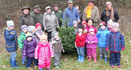 Baum "geschlagen" (Foto: privat)