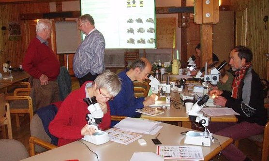 Teilnehmer am Hummelseminar (Foto: privat)