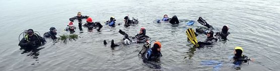 Vor Weihnachten abgetaucht (Foto: privat)