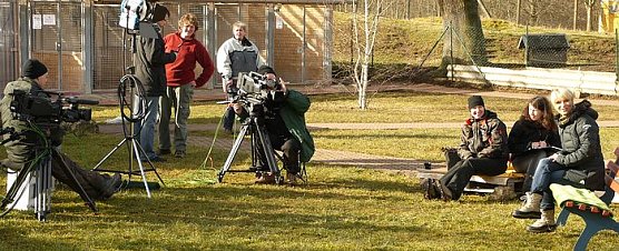 Bei der Arbeit (Foto: nnz)