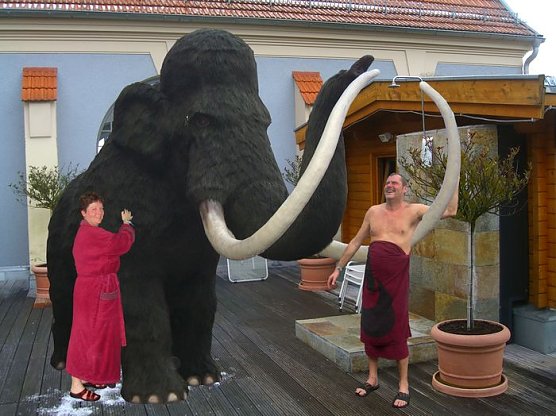 Mammut im Badehaus (Foto: Wersdorf)