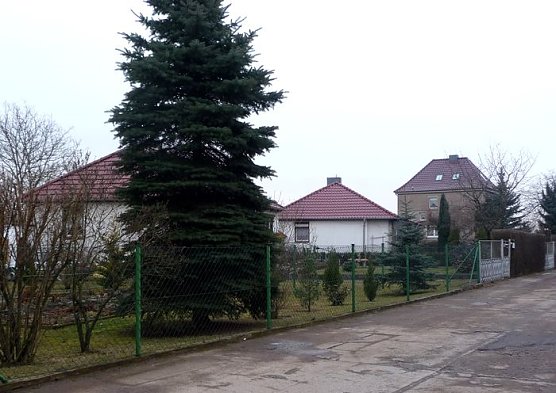 Keine Zukunft? (Foto: nnz)