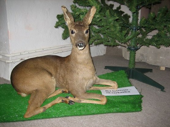 Neuigkeiten aus dem Heringer Schlo&szlig; (Foto: Hoffmann)